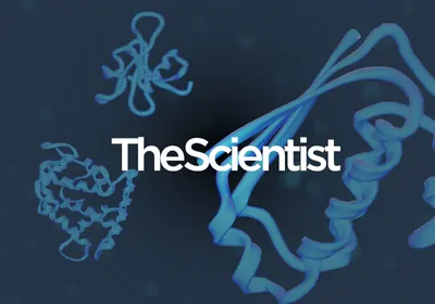 Proteomics: Pushing Towards Single-Cell Resolution